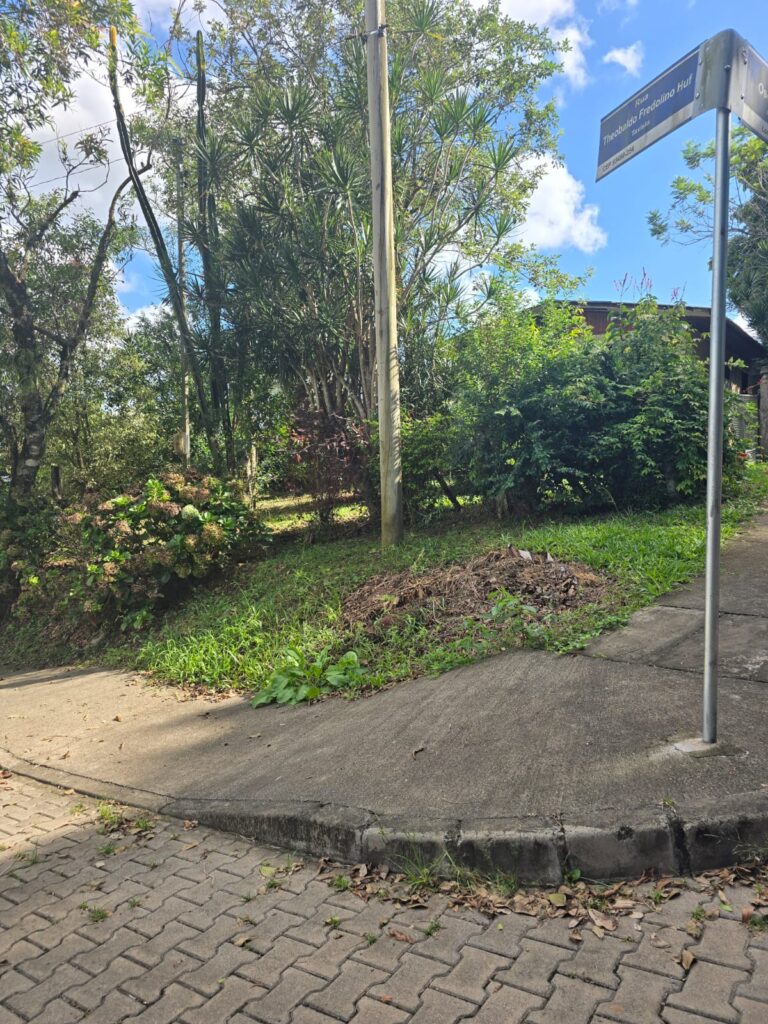 2fb00c33-770e-401c-8a21-dd984dcdebc8