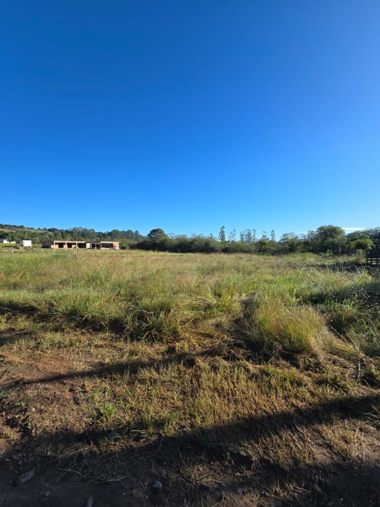 98ba0055-7326-4777-8456-4e00b62c3284