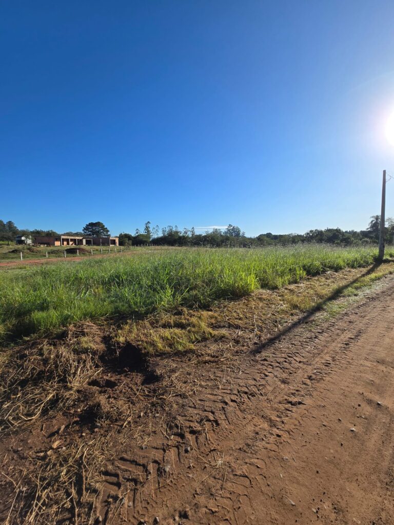 b6845238-0cbd-4965-a4a4-770131ecb199