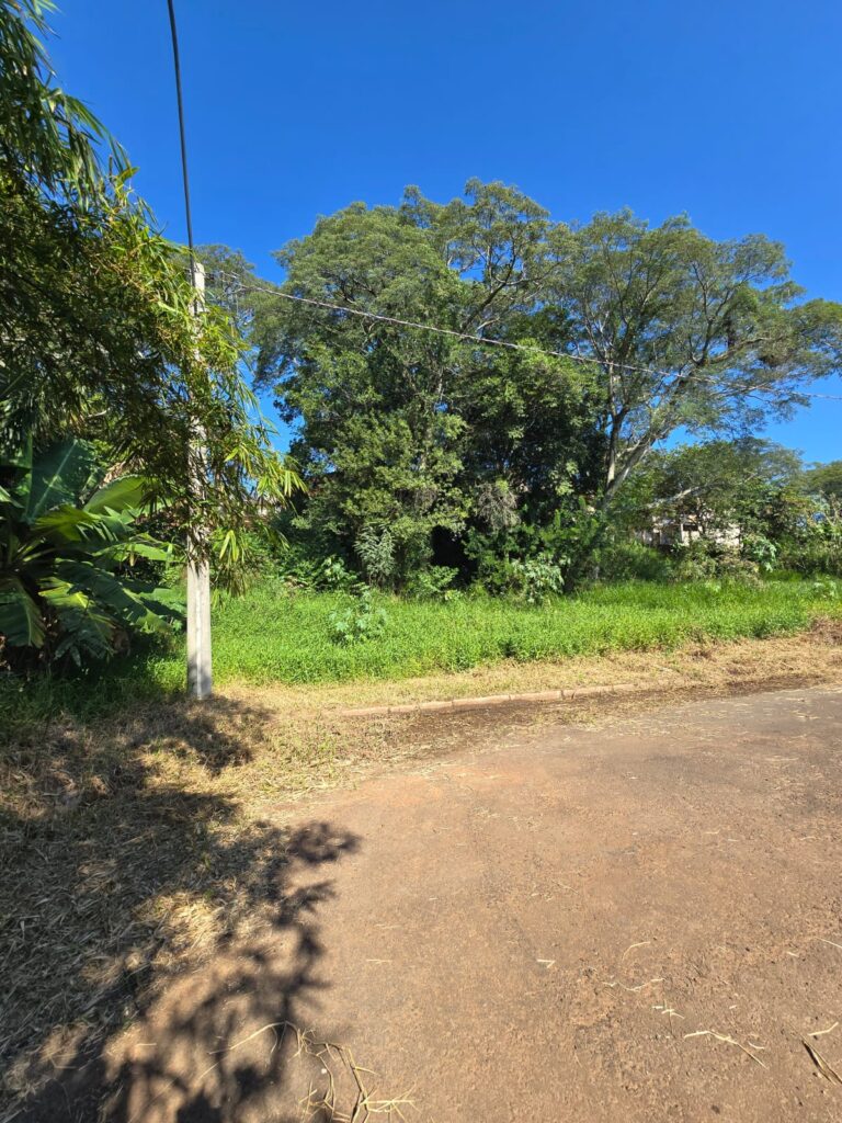 bd470047-56ef-440b-84e1-145b87e4b1a0