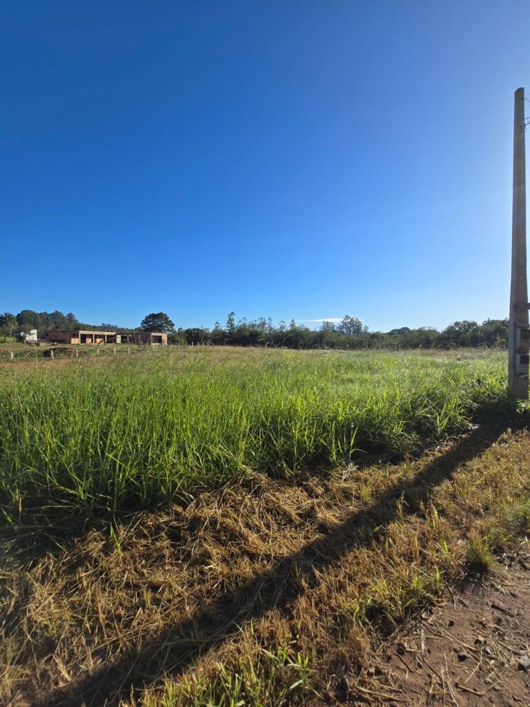 c2dba685-2505-4f06-8702-7ff09a5faf40