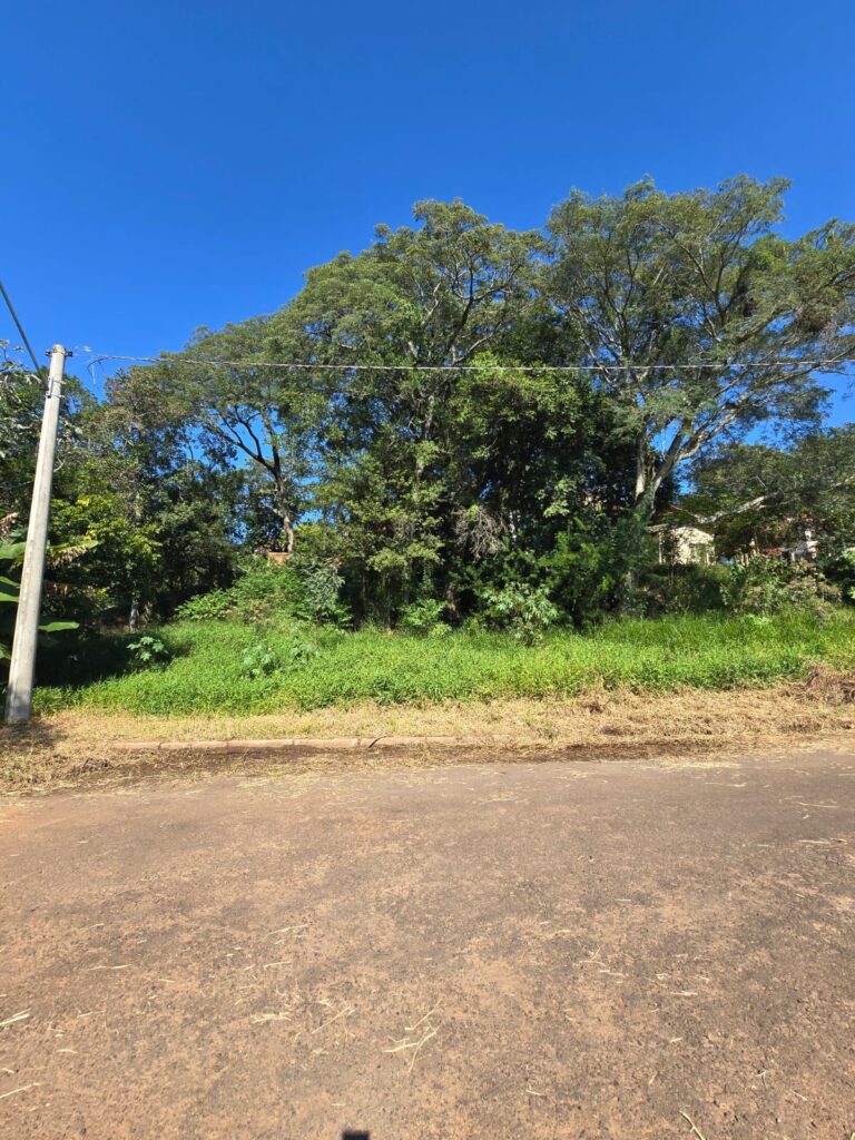 e15e74a8-e59d-4d0b-9058-c53857e10960