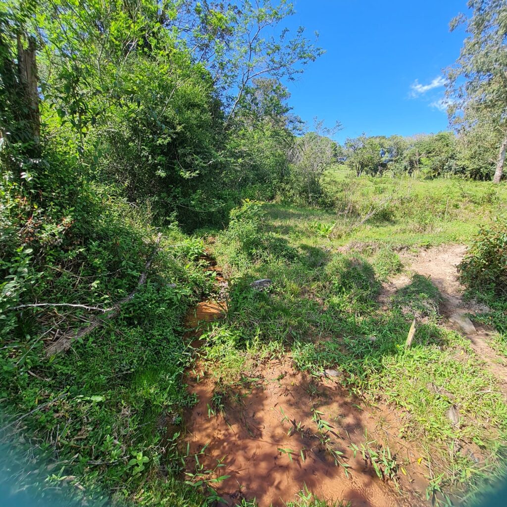 010a1b61-7d92-4826-9054-0a4d5de2e736