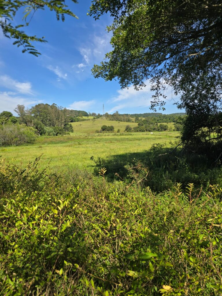 0187d119-a042-42ad-a730-e80bb6f3bb8d