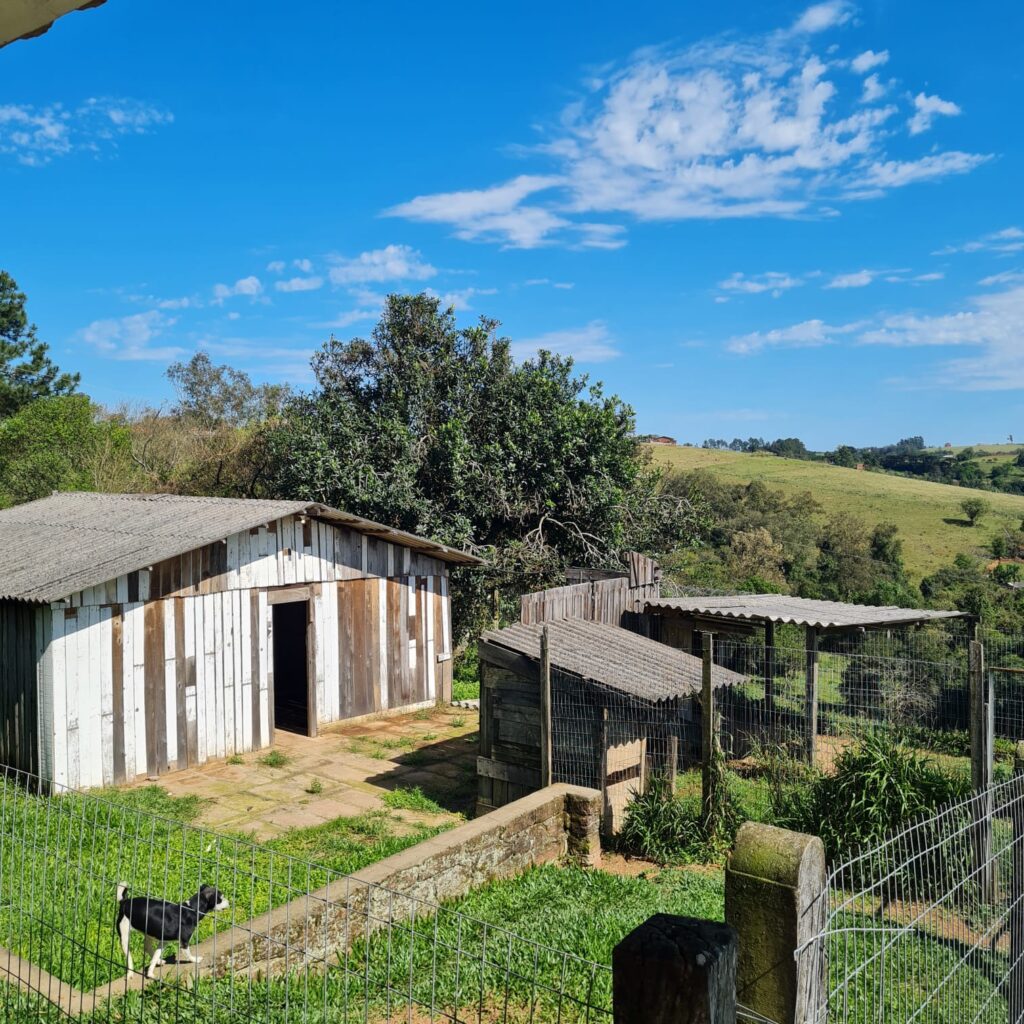 022b339d-ad49-4b4b-915f-6f9d84e18acd