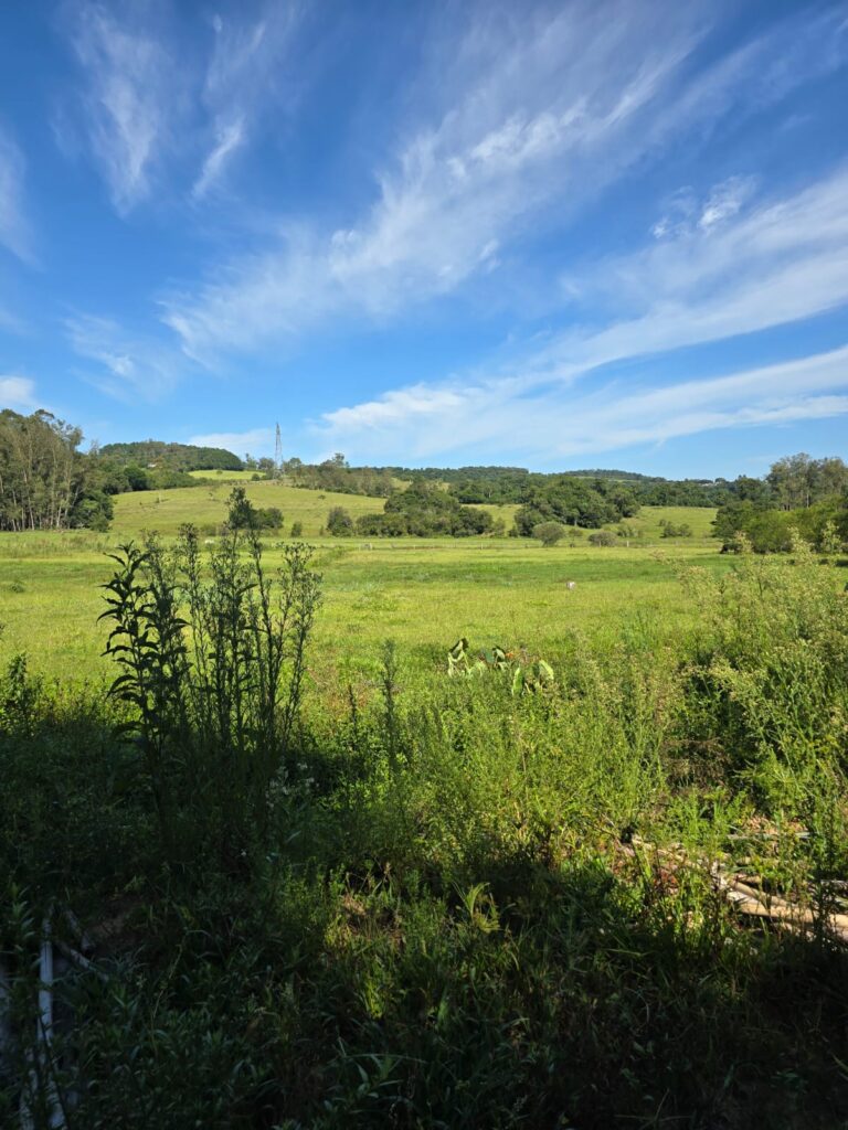 02c78ce5-1489-49d4-9288-f8906d73d04b