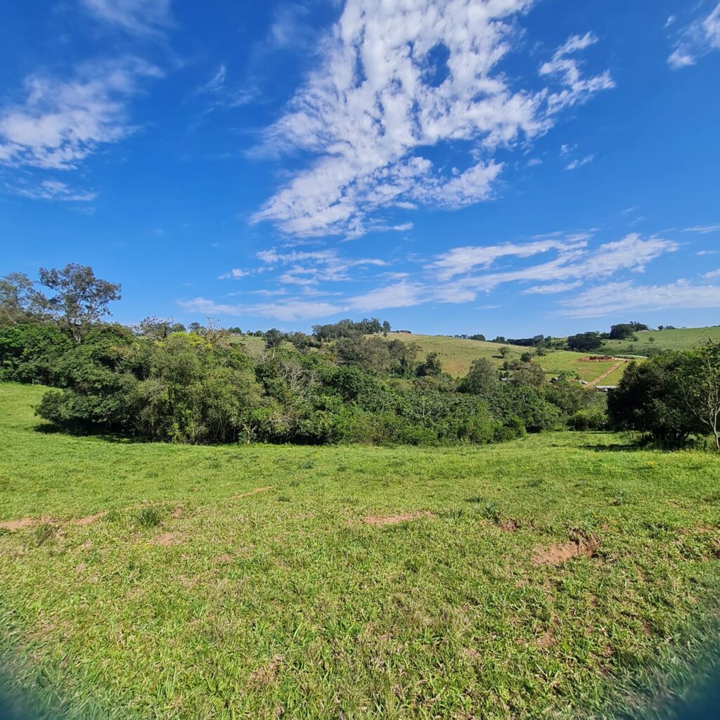 04107143-5e5f-486e-9e4c-af6682e905ba