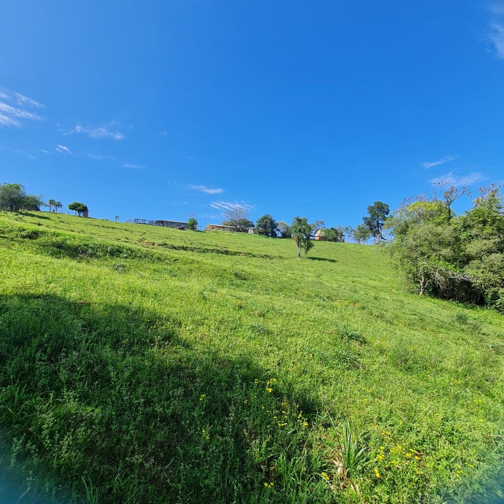 0ab62bf5-f8e1-4760-82ce-c9efcb51ccc2