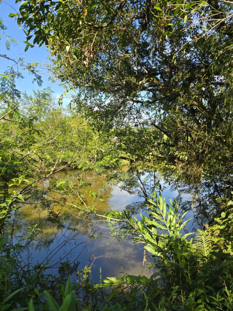 0efbc6f0-0ba2-42b8-b92e-e9065fc47d0d