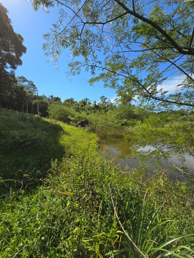 151bf3ac-979d-41a7-b28a-c89273b78c39