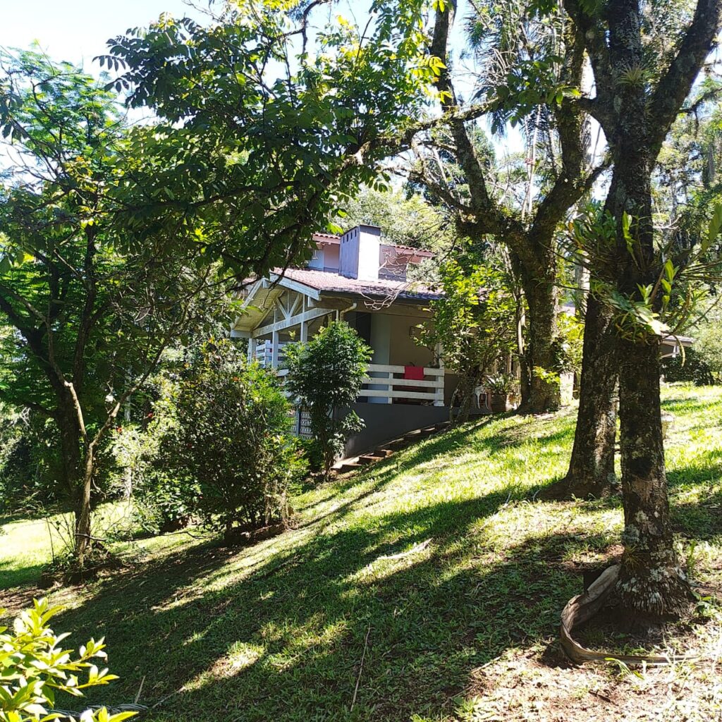 1541e187-c91d-46db-ba7c-804d0f797533