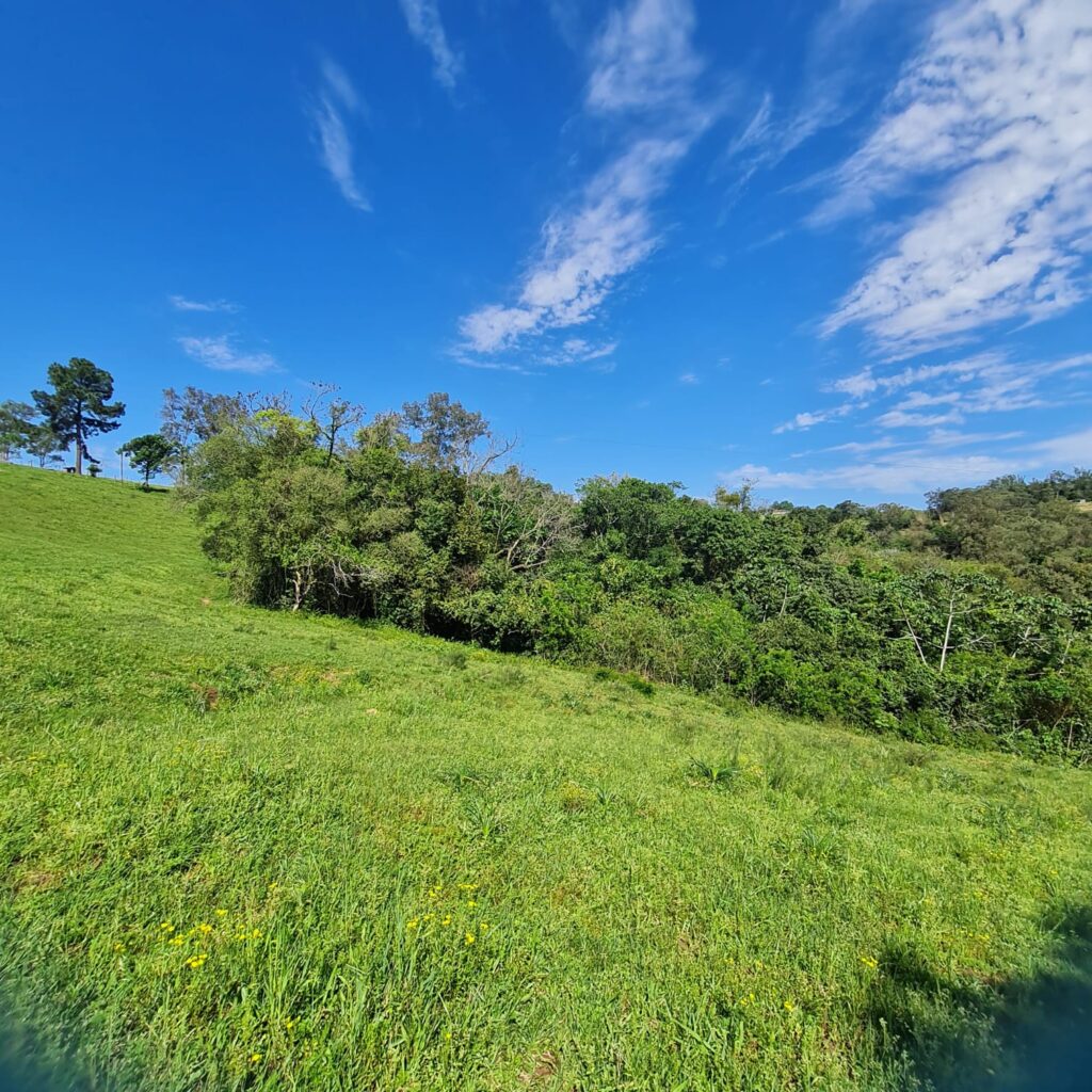 16752baa-d0b2-4f1b-af84-e116b93a7741