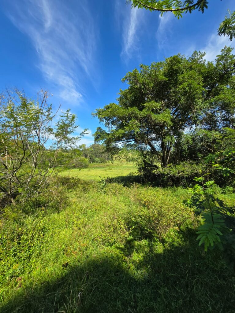 1a83bd7d-84e8-4dcf-9eff-6a75a0f0b82a