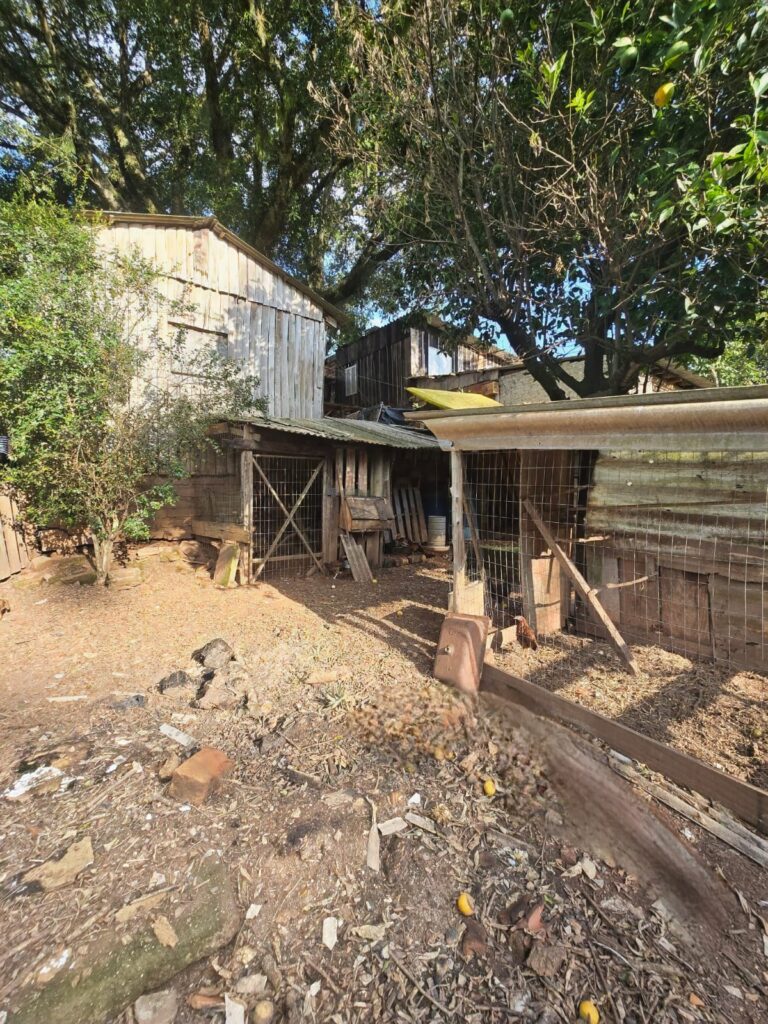 1e3d6159-b4a7-49ec-831f-aefde6d26331