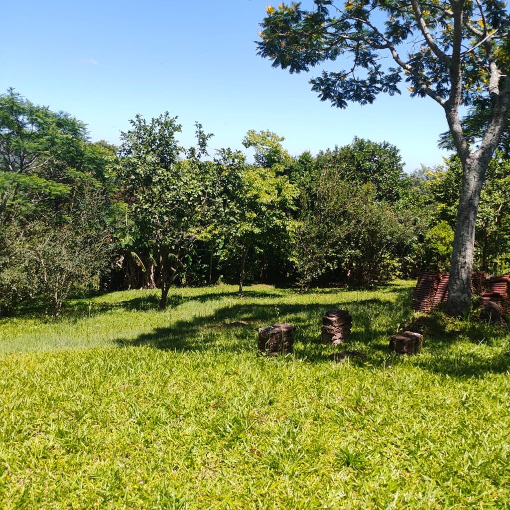 2259ba47-05e1-4817-ae5d-f4d9a94566e3