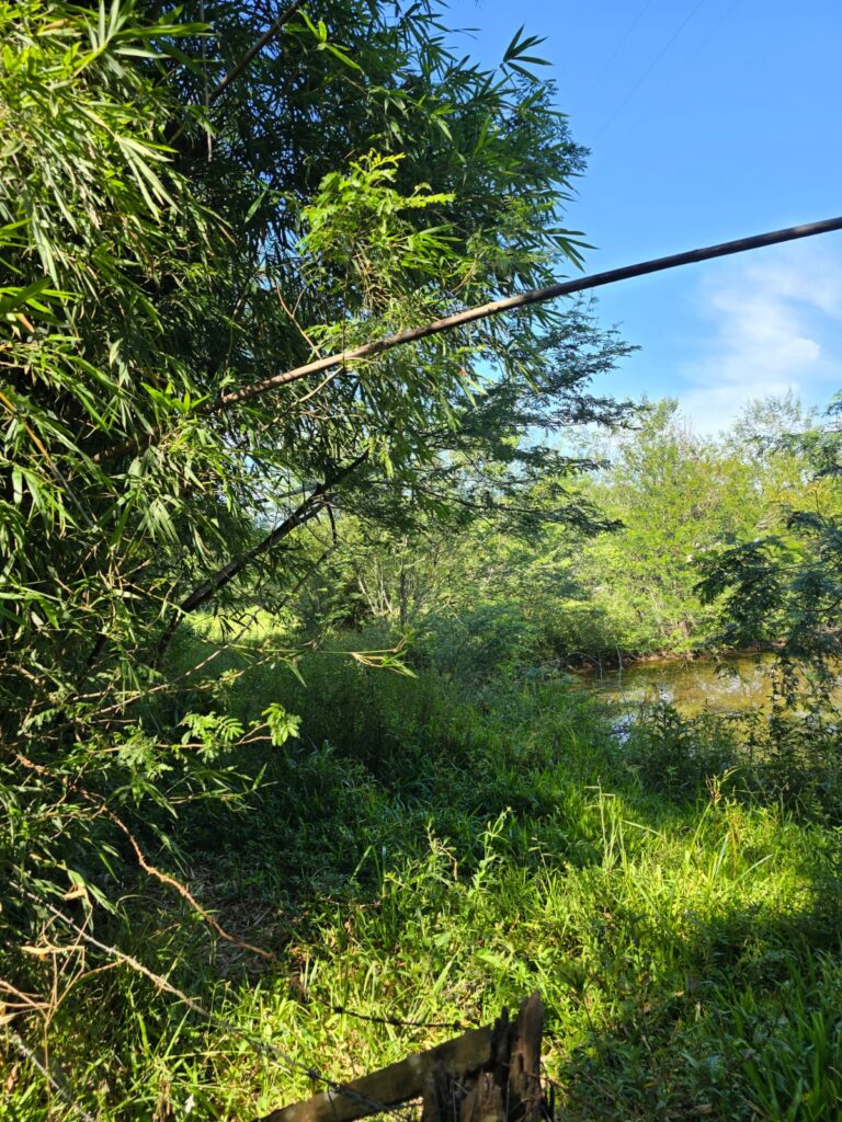 226dd986-a14a-4521-bb21-6c44c3ae8d85