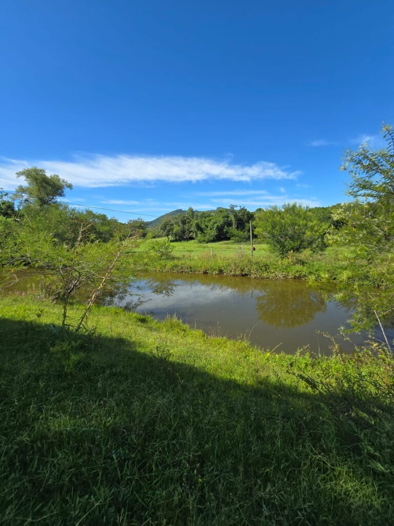 22937b50-3fa5-40f8-9659-b2143b91f6df