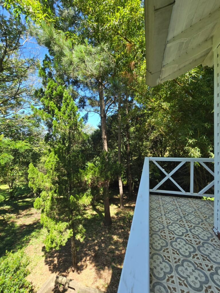 28fb99c9-a2fb-4062-a3c4-7c71f4c533ad