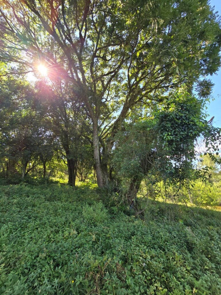 2c4f6b32-ce70-4f7b-ac12-0bd53aca2ff6