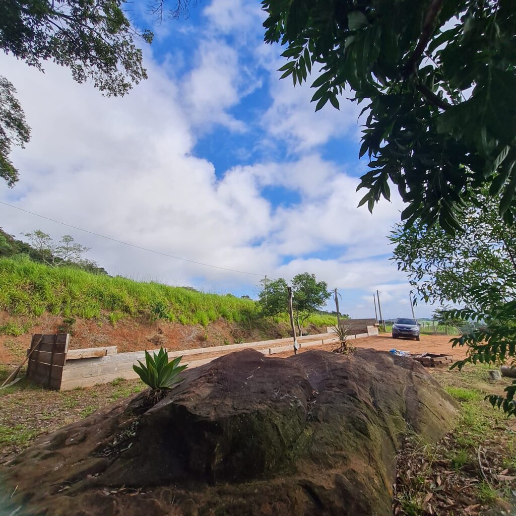 2ca2d77d-18d0-4795-93e9-8b16467c756c