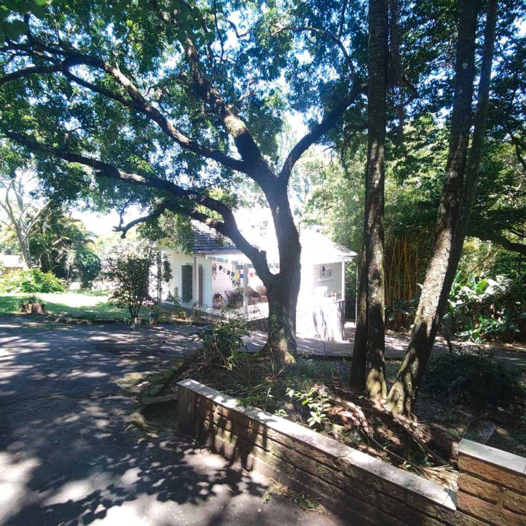 3095284e-2f7e-43f0-ace6-57fb683cc3b8