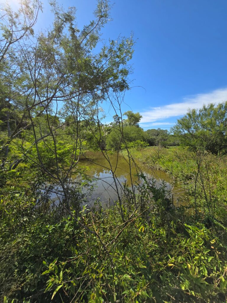 30cf9332-abac-48a8-99a4-b6c8a4fae954