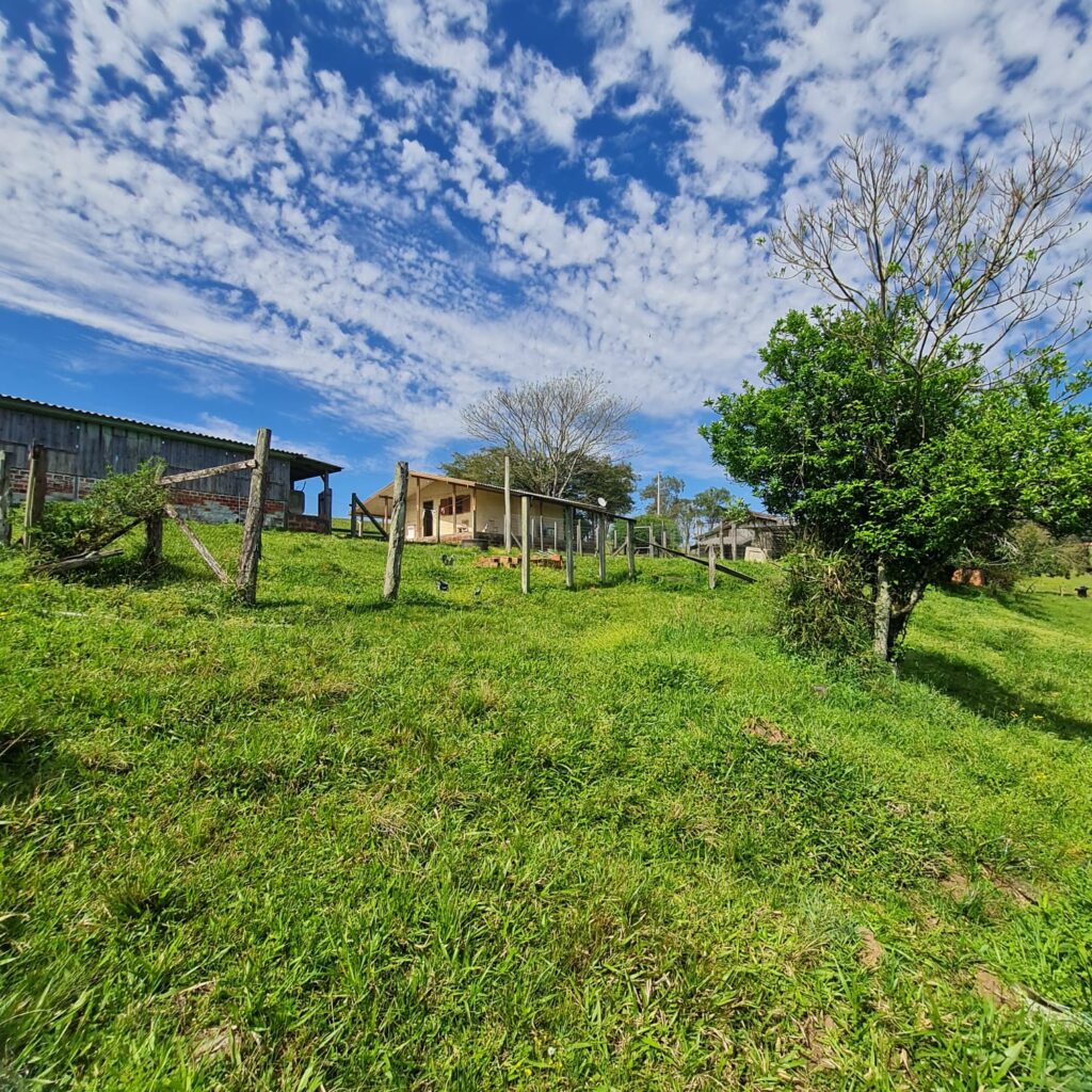 35264bc3-caff-4f67-a1bd-e1210087ecc0