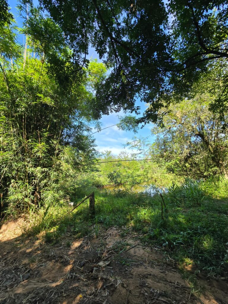 369f35bd-07cc-4ddb-a14e-b84f841d2a02