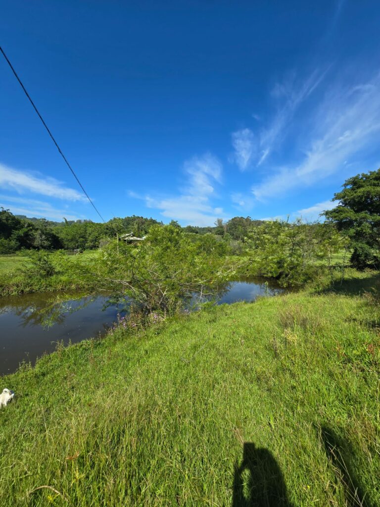 369f46d5-ed2a-453a-8ab3-df0b4306244d