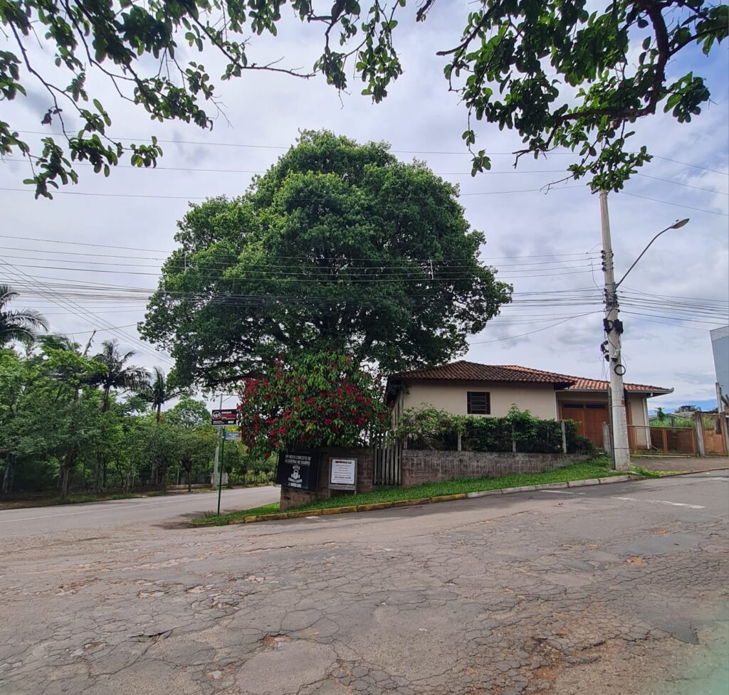 381238e4-5b93-43d4-81c0-a72774df37a3