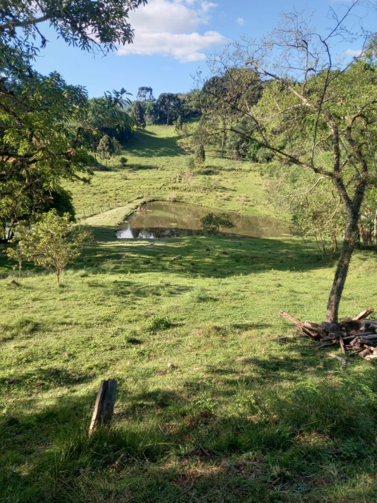 3987bf0e-8562-4a99-9363-a96e4b6bf1b8