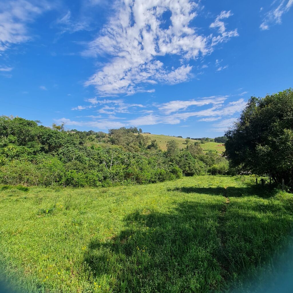 3c3d6c6d-b141-4fa0-bc22-c1e9421bbdfc