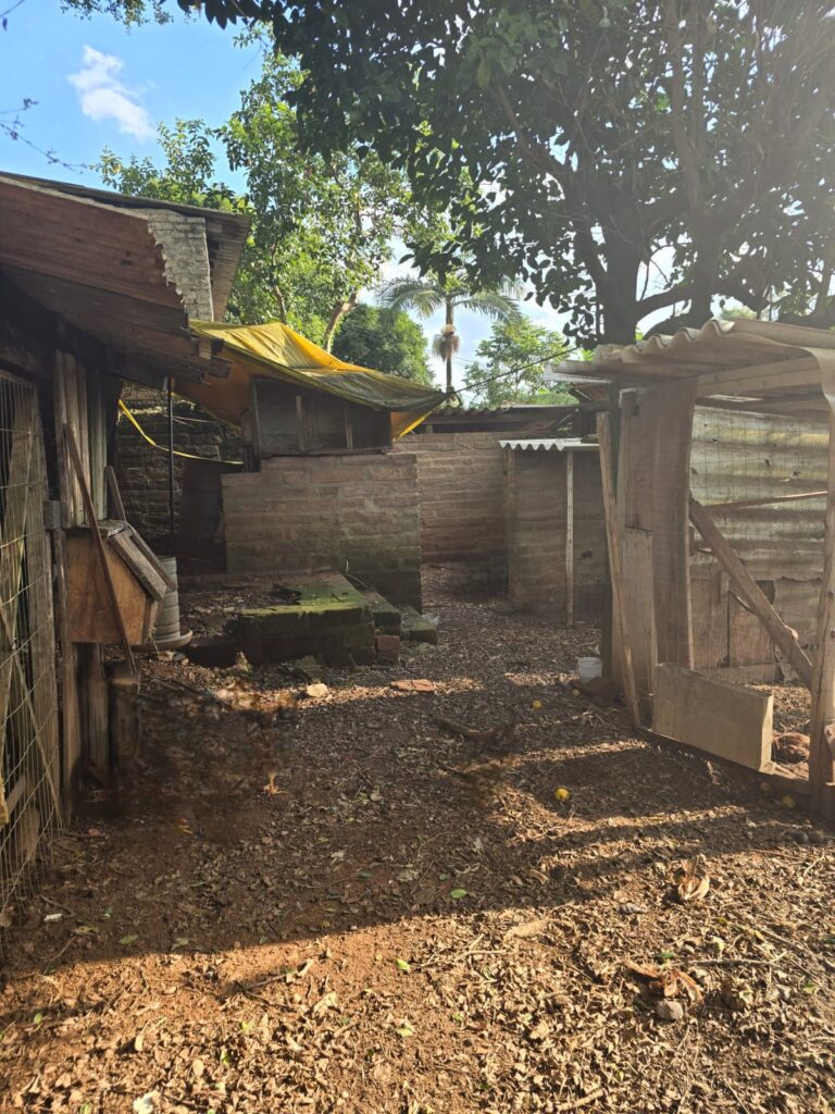 4062ce1a-58c5-45f3-a008-5501572cedfd