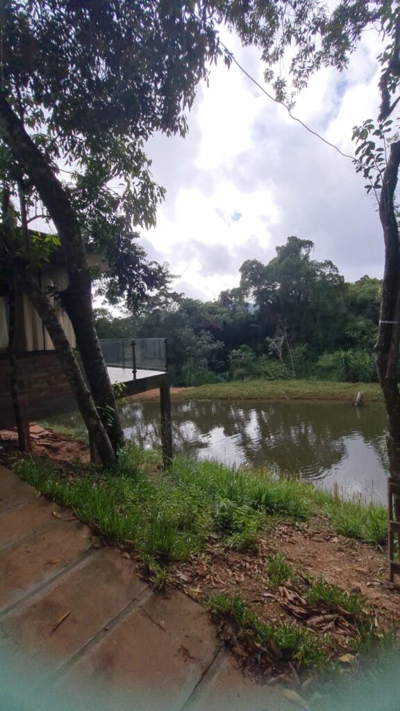 44238e1b-4839-4cf6-a724-fab06ca5aba9