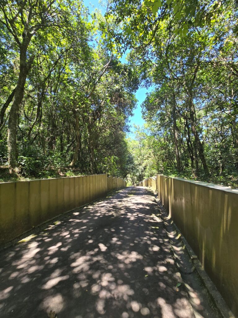 4a9da1e5-87be-4960-99b2-54f2bb0baa57