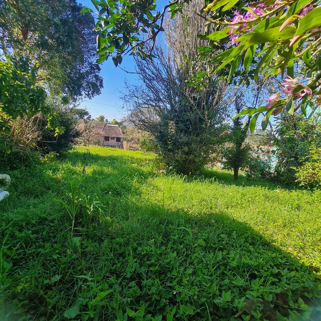 4e7db69a-63bc-4773-bc4f-01f937fe06bc