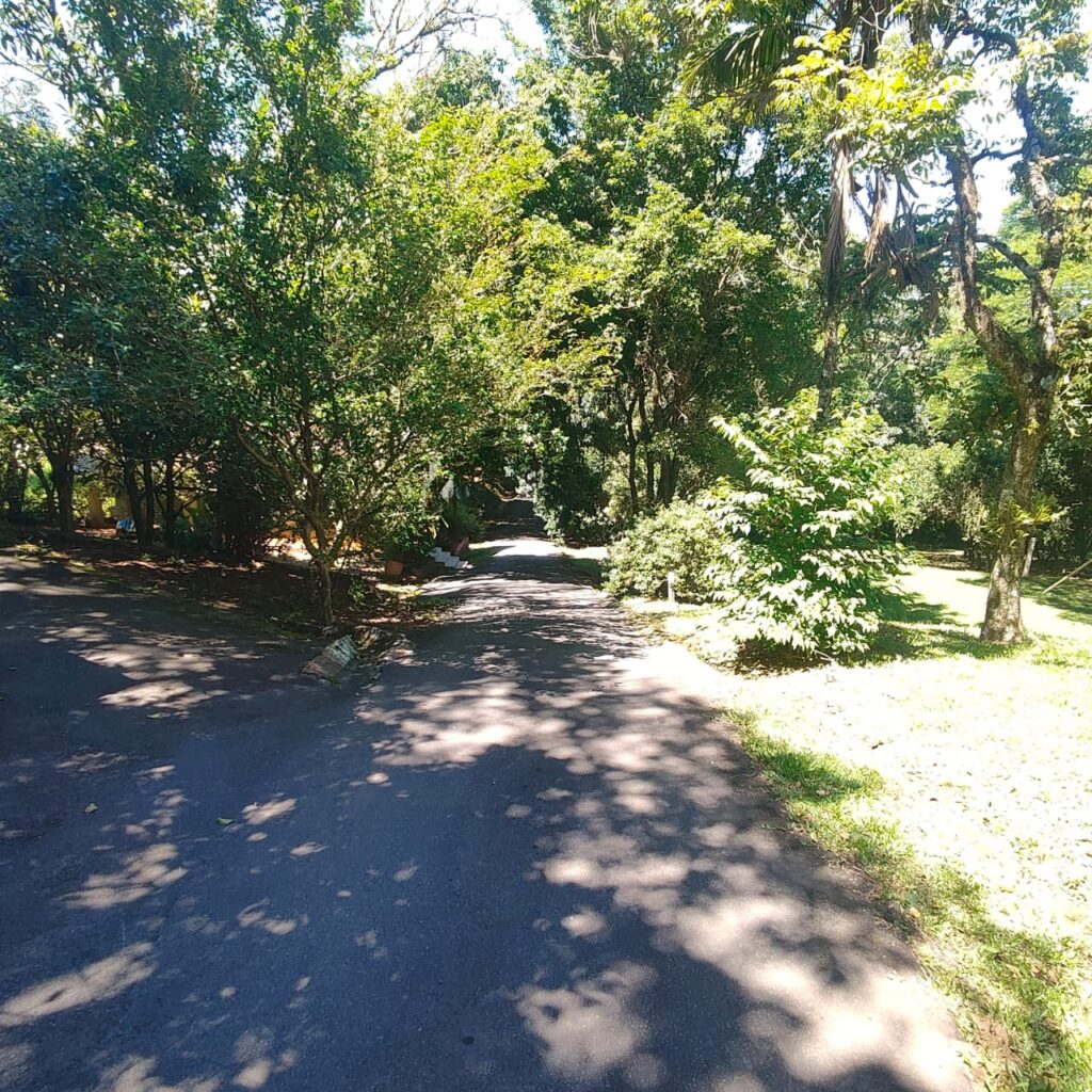 514bb448-22a3-4eef-8c25-4cabc6284de9