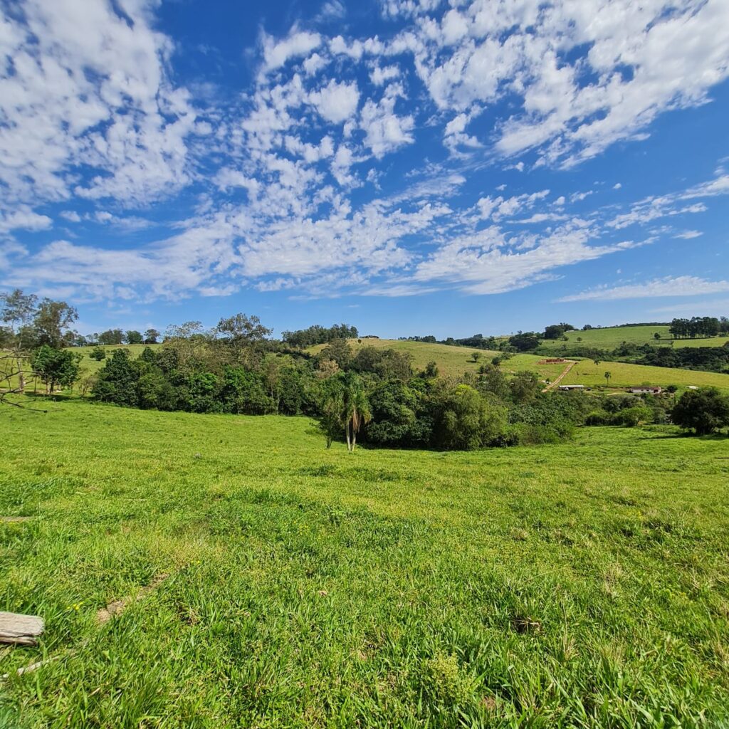 51f6da58-be8a-4e08-aefa-4fcdaf06f90c