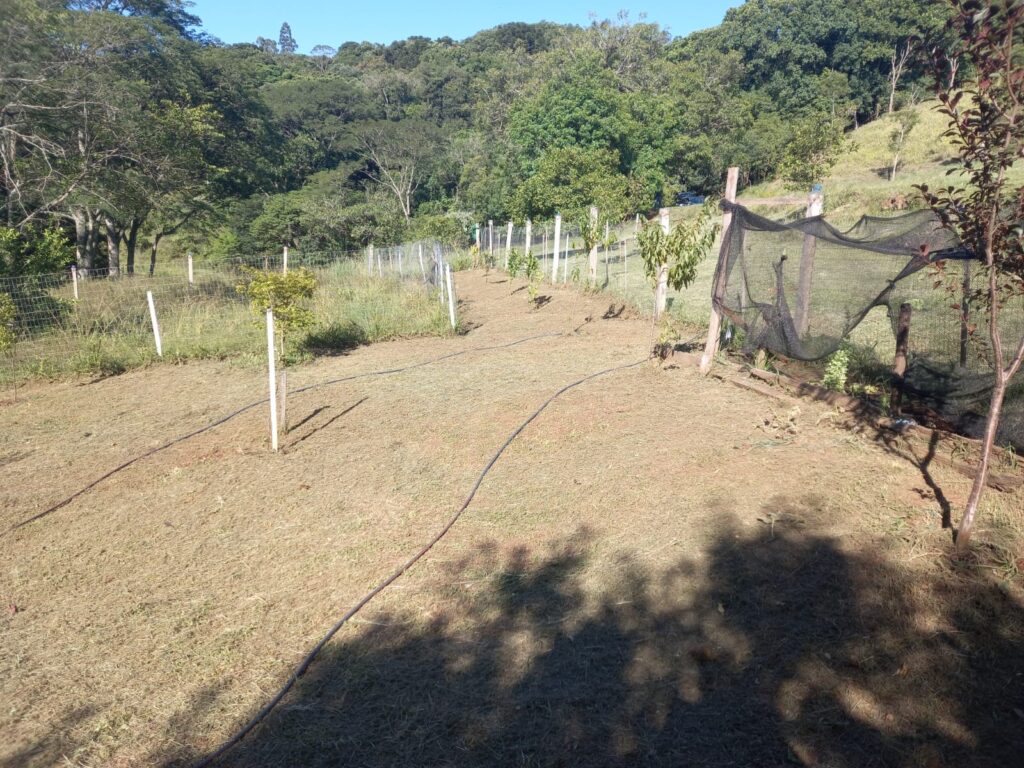 52d214aa-1478-452c-ad54-a67b2961cbc6