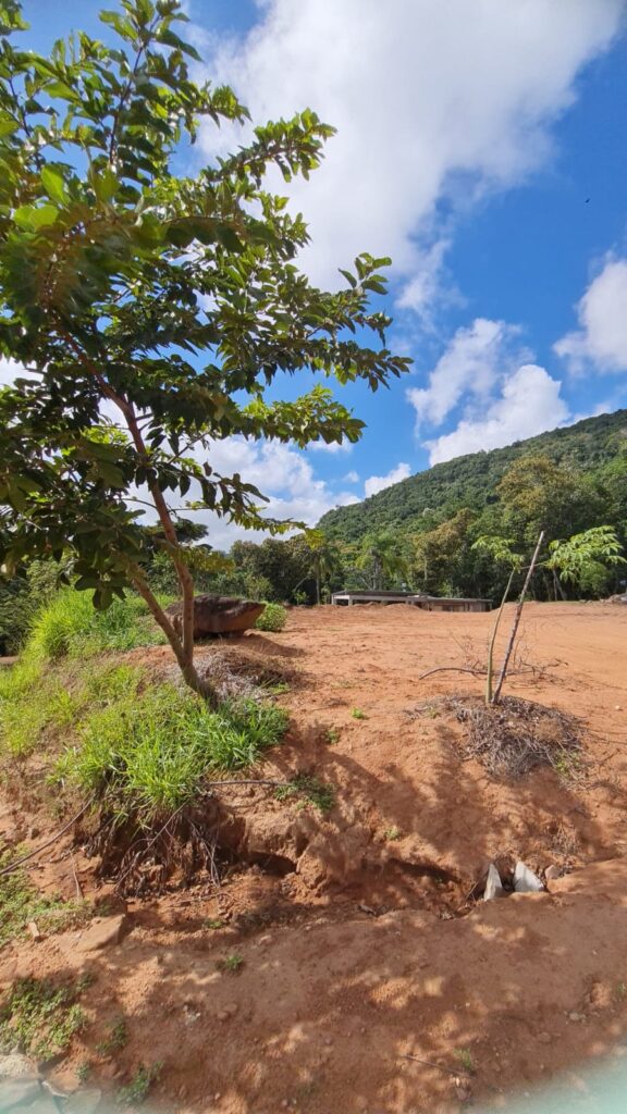 552fc286-32a5-4272-b7ae-2a7d38faed99