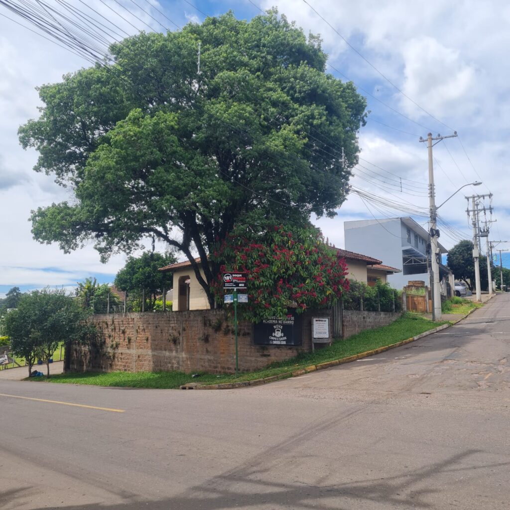 56ade1da-f4bc-40de-8bb1-b2858a0ea96c