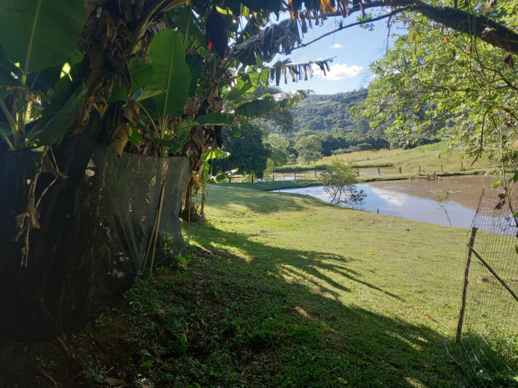 5b6b5b18-5dc2-4ae0-9512-b1a13eee92cb