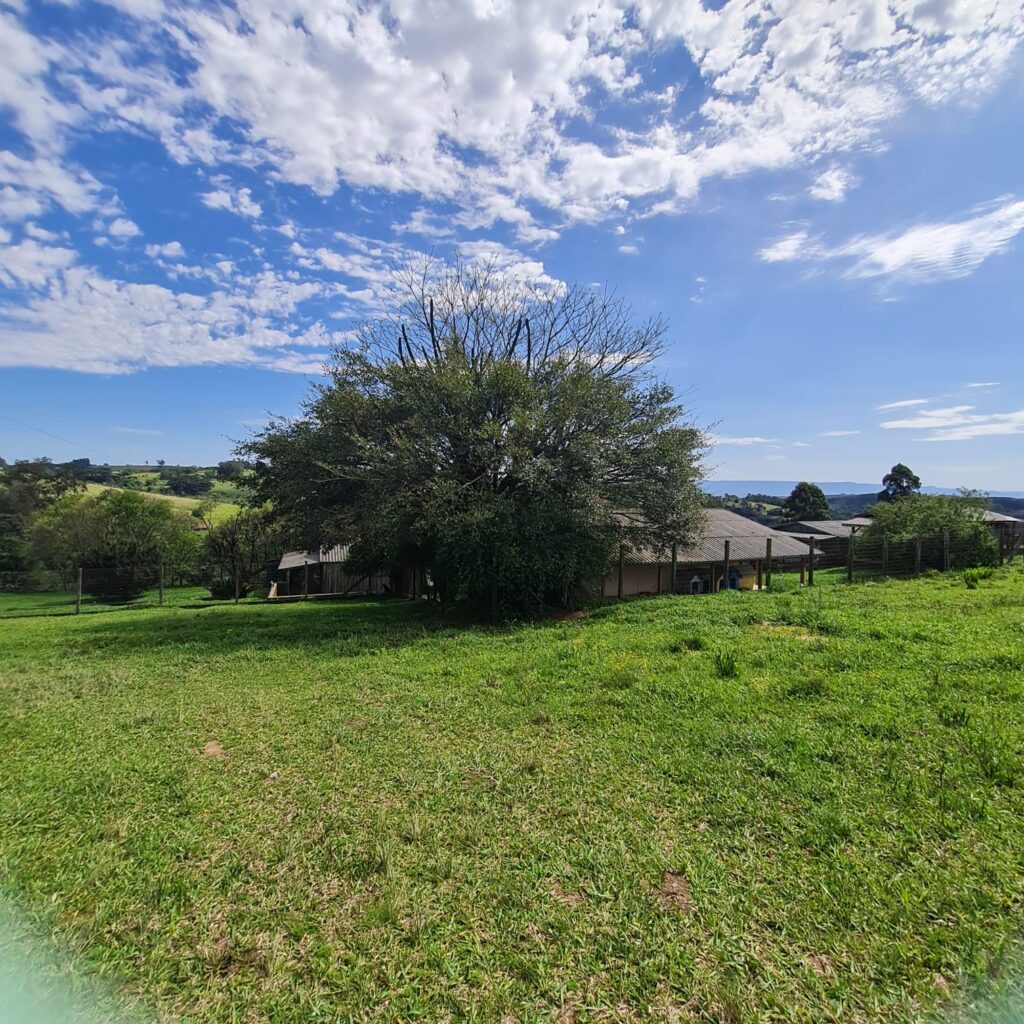 5c5ac3b3-d147-4cd5-a47e-7f9c140134b0