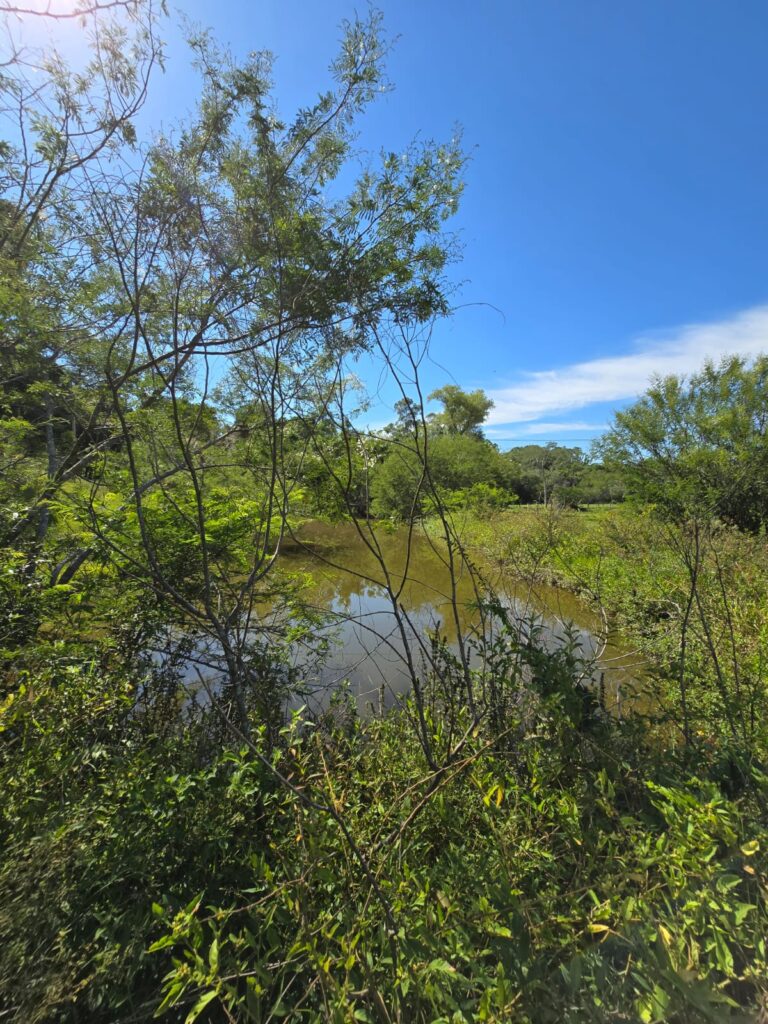 5c8d7d3f-5c45-4ee9-b77d-f3a45e0e64bd