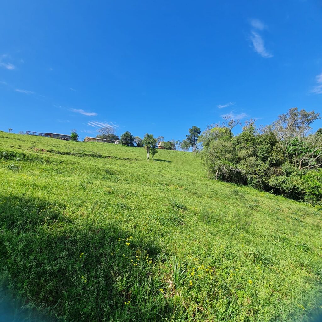 5dc6f9d4-af84-4e1c-a5a5-b91f607655b0