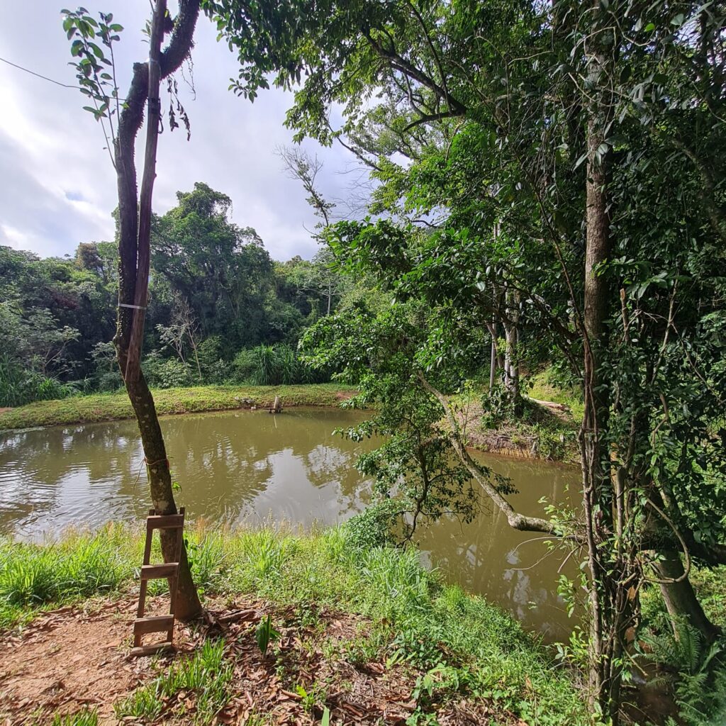 5e524b75-ebf5-4fe5-bff0-7a14df29b37b