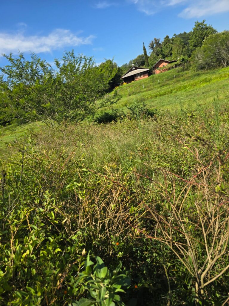 5e653f60-874c-4bde-922e-8459067d55b2