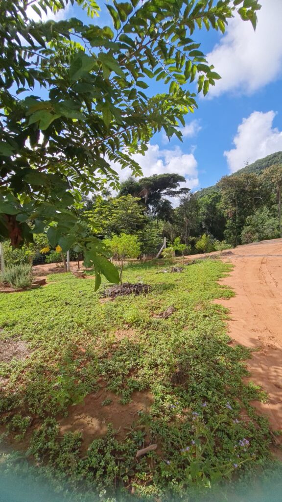 5fe38b50-3020-4897-87c5-e23c3d1641ca