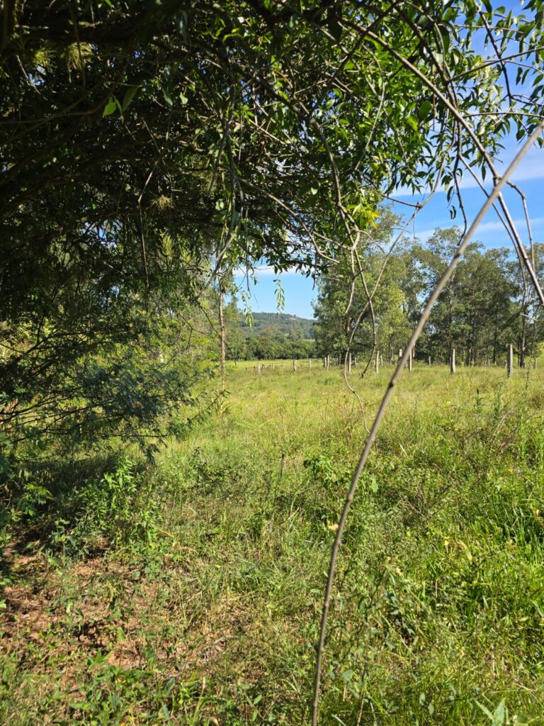 68bf39ee-fe8a-4b58-9b68-d02c6b7ac2de