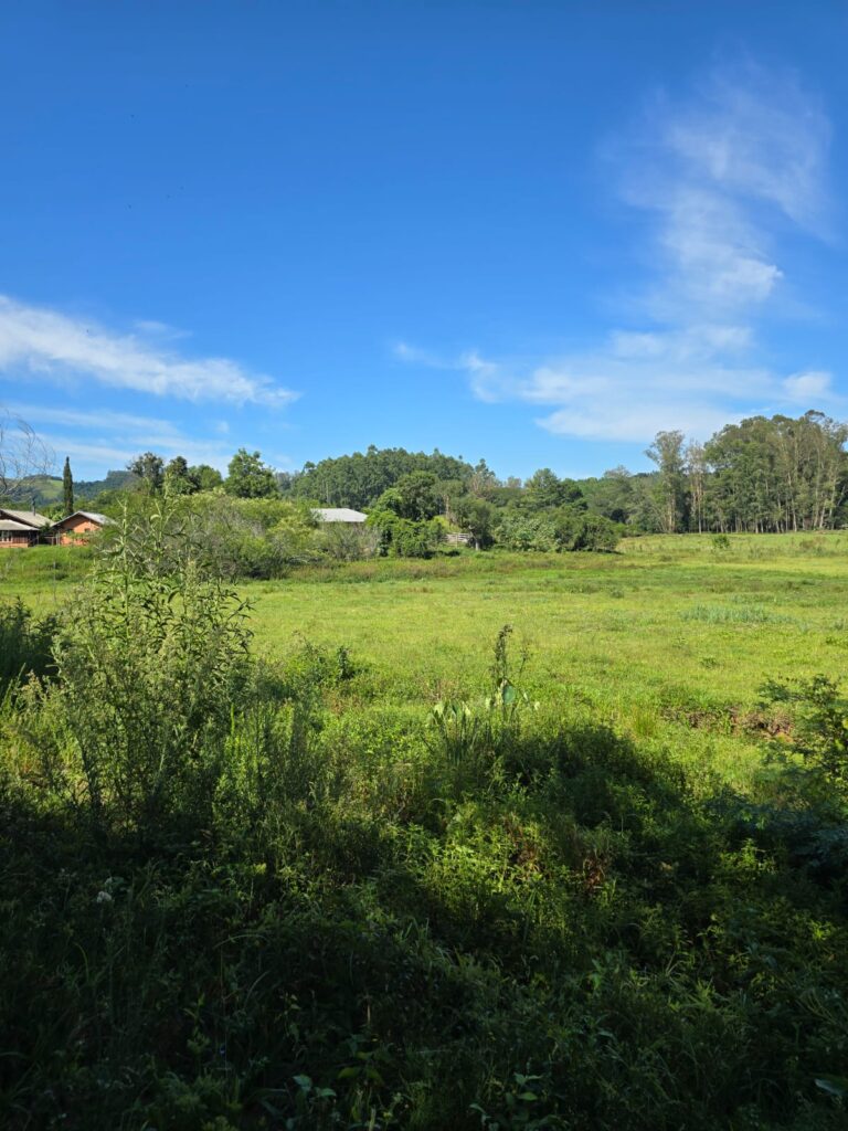 6cff15ed-4332-4908-8f60-4d75f79be07f